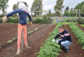 Pubblicato il bando per il Master in Agricoltura Sociale 2025