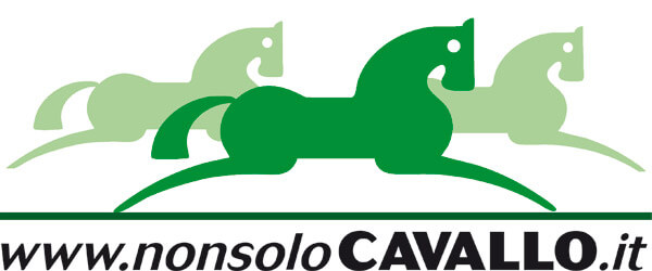Il Portale del Cavallo