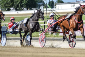 IPPODROMO DI VINOVO: a porte chiuse ma si torna a correre domenica 31 maggio