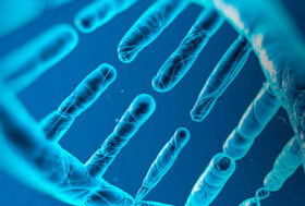 DECRETO SPERANZA SULLA PRESCRIZIONE DI FARMACI AD USO UMANO – LO STATO DELLE COSE