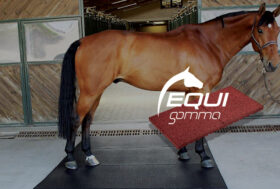 Pavimentazioni Tecniche in gomma