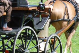 Campionati Italiani Attacchi e Coppa delle Regioni