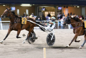 Cesena Trotto, resoconto Granpremio HID BANCA