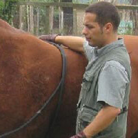 francesco-de-giorgio-200 Francesco De Giorgio