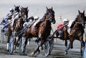 Cesena Trotto, prossime corse di venerdì con Premio Panathlon Club Cesena