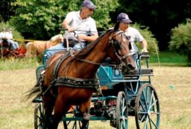 Per promuovere la pratica degli Attacchi