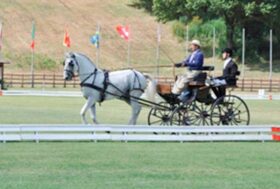 Campionati del Mondo. Dopo il primo giorno di Dressage