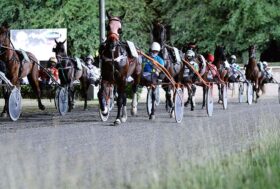Cesena Trotto, resoconto Premio Città della Romagna