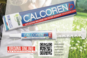 Dalla BioEquipe, Calcorenb per cani e gatti