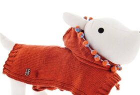 Tempo di cappotti per cani: sai scegliere la taglia e il modello giusto?