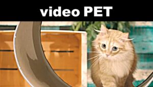 Video Pet