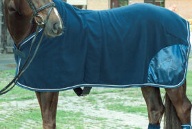 Tempo di coperte per cavalli: sai scegliere la taglia giusta?