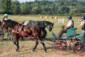 Vince lo sport: Coppa Italia Amatoriale 2020