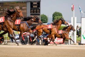 Ippodromo di Vinovo, Mercoledì 10 Marzo tutti contro il Team Gocciadoro