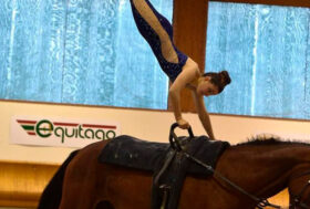 Le Conferenze del Volteggio 2021