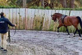 Attacchi: Sport a tutto campo. Un allenamento equilibrato