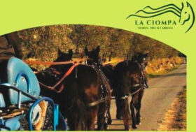 Bischerotto Tour: Viaggio a carrozza in Toscana