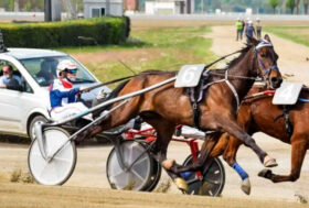 IPPODROMO DI VINOVO ­ 5 MAGGIO, UNA TRIS QUARTÉ QUANTÉ DA INTENDITORI