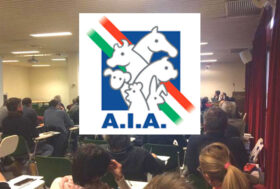 A.I.A. e Sistema Allevatori alla 56esima “Agriumbria”