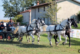 Tutti insieme appassionatamente!