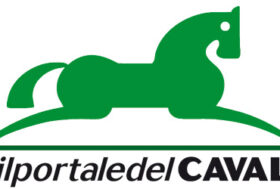 L’appuntato cc. Roberto Sutera ieri notte ha perso la vita inseguendo, in servizio, un veicolo rubato