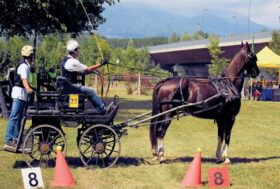 Sport a tutto campo: a Pavone Canavese lo scorso 26 luglio la 1a Tappa del Trofeo Amatoriale GIA 2020, nel pieno rispetto delle regole