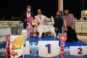 Ippodromo Cesena Trotto: resoconto delle corse di Sabato 24 Luglio 2021 – pr. 64a IDS