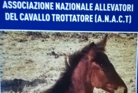 ANACT il presidente Ubaldo La Porta a solo un anno e mezzo di gestione con soddisfazione dopo 8 anni riapre le porte al tradizionale appuntamento storico con le aste del trotto italiano