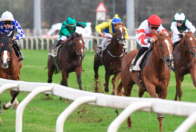 Domenica 14 novembre, grande galoppo: due listed, un handicap principale, una gentlemen e amazzoni. Tornano Demuro e Ghiani in sella