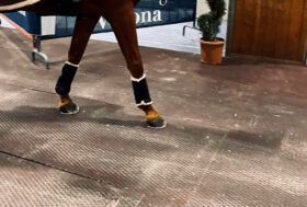 Ecoplus fa rinascere a Fieracavalli 12.000 pneumatici