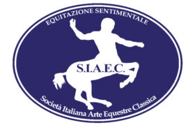 Studi sui movimenti del cavaliere