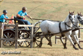 Attacchi: Coppa Italia Dilettanti, Gran Finale