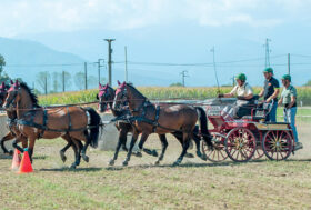 Sport a tutto campo. Una festa per gli Attacchi