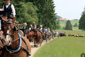 Attacchi: nella culla del Franches-Montagnes