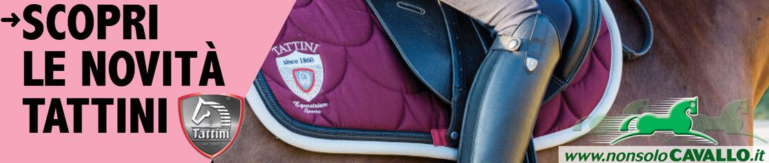 Scopri le novità - Tattini