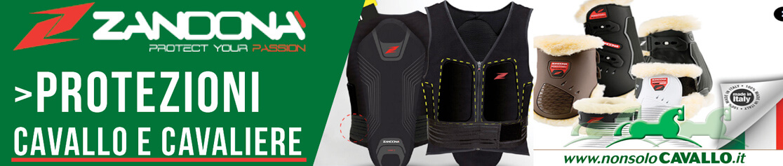 Protezioni cavallo e cavaliere - Zandonà