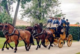 Attacchi: Spettacolo a Golegã