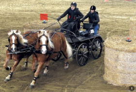 Attacchi: Pronti, via! Si riparte