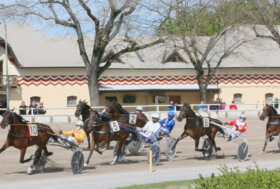Ippodromo Arcoveggio Bologna: presentazione delle corse di sabato 21 maggio