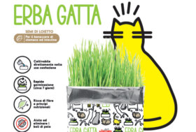 Record: Erba Gatta, prodotto per il benessere di stomaco ed intestino dei gatti