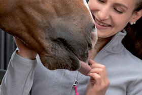 Alimentazione & Mangimi: I consigli del dott. Piermario Giongo, veterinario esperto in podologia e mascalcia.