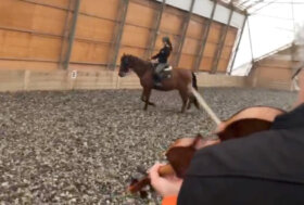 La musica, l’equitazione e il cervello.