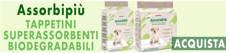 Tappetini Assorbipiù - Record