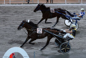 Ippodromo Cesena Trotto: presentazione delle corse di venerdì 29 luglio 2022