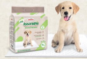 ASSORBIPIÙ, nuovi tappetini superassorbenti biodegradabili