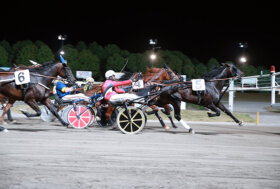 Ippodromo Cesena Trotto: presentazione delle corse di sabato 9 luglio 2022