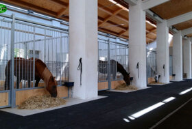 ECOHORSE by Ecoplus, la pavimentazione scelta per i FEI World Championships 2022
