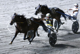 Ippodromo Cesena Trotto: resoconto delle corse di venerdì 8 luglio 2022