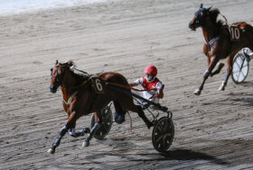 Ippodromo Cesena Trotto: presentazione delle corse di martedì 12 luglio 2022