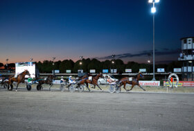 Ippodromo Cesena Trotto: resoconto delle corse di sabato 30 luglio 2022